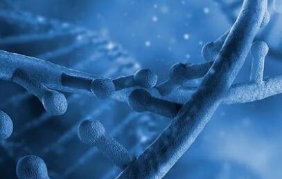 轉(zhuǎn)載：干細(xì)胞為什么要存儲(chǔ)在孝感液氮中？能存多少年呢？