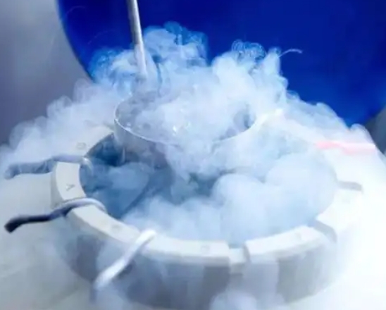 神農(nóng)架液氮速凍食品會(huì)損失營養(yǎng)嗎？